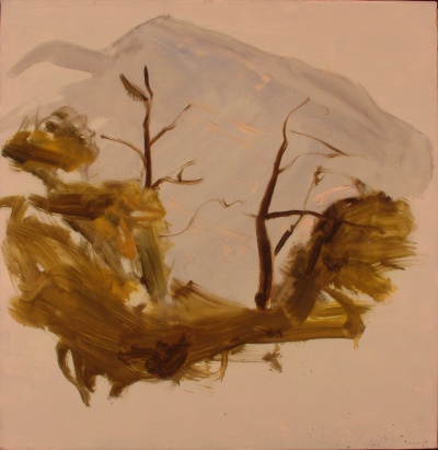 montagna con alberi<br>Olio su Tela<br>80x80   27-08-1992<br>
				(520)